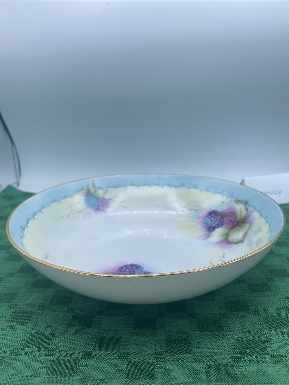 Antique Blackberry Hand Painted Porcelain Bowl Unbranded 9” Diameter